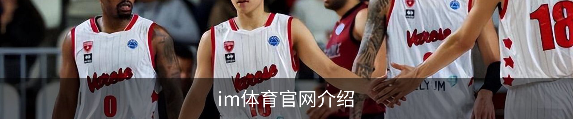 im体育官网介绍