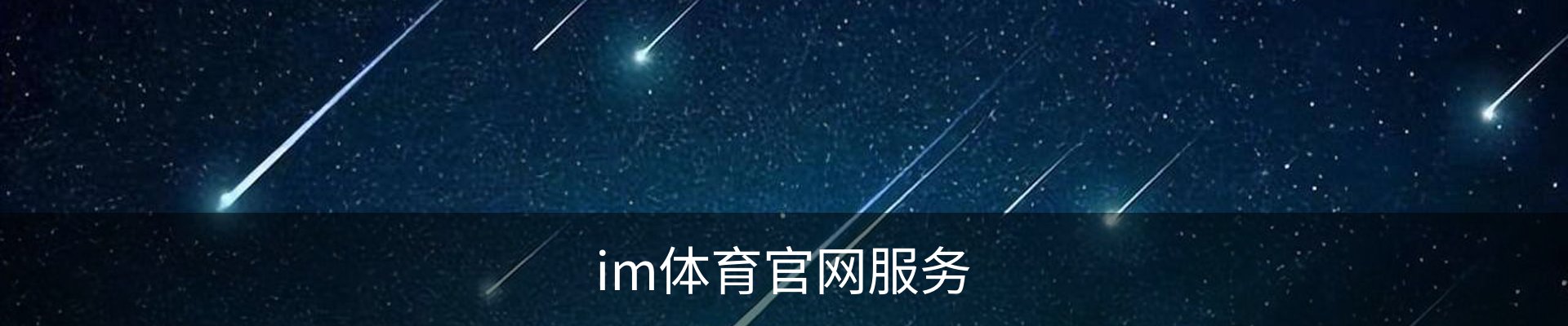 im体育官网服务